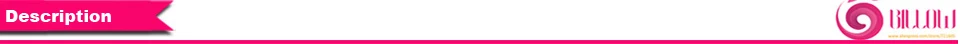 decription-