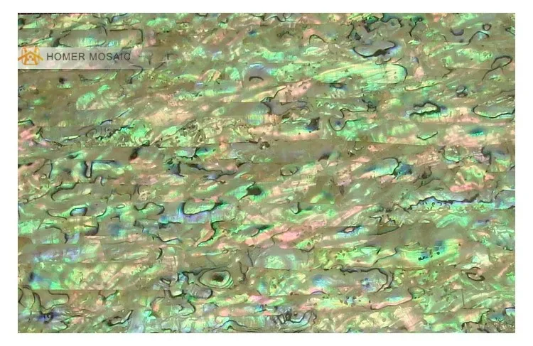 Экспресс! B класс abalone оболочки ламинаты 140x240 мм вставки, оболочки листы, перламутровый лист