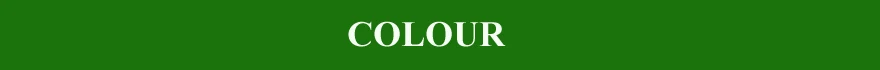 COLOR .jpg