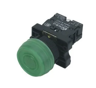 XB2-bp61