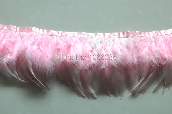 DSC02408