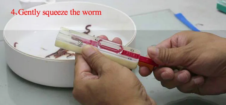 3 компл. легко положить личинка Grub мягкие приманки черви Glow Креветки прикормы в крюк рыболовные снасти Пинцет live коробка приманки