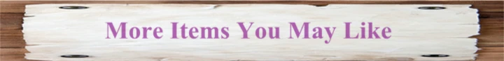 mORE ITEMS YOU MAY LIKE--2.jpg_.webp