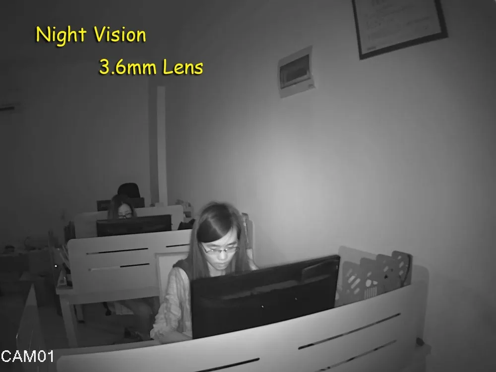 night vision .jpg
