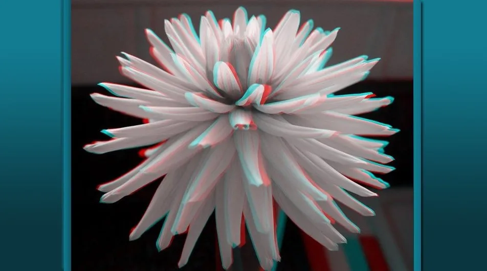 850538266_616932826