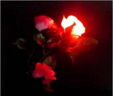 ScreenShot17