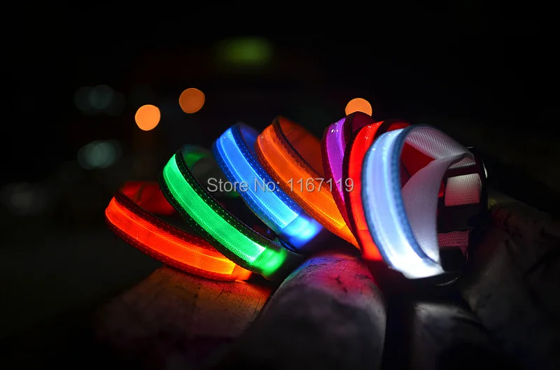 LED dog collar (27).jpg