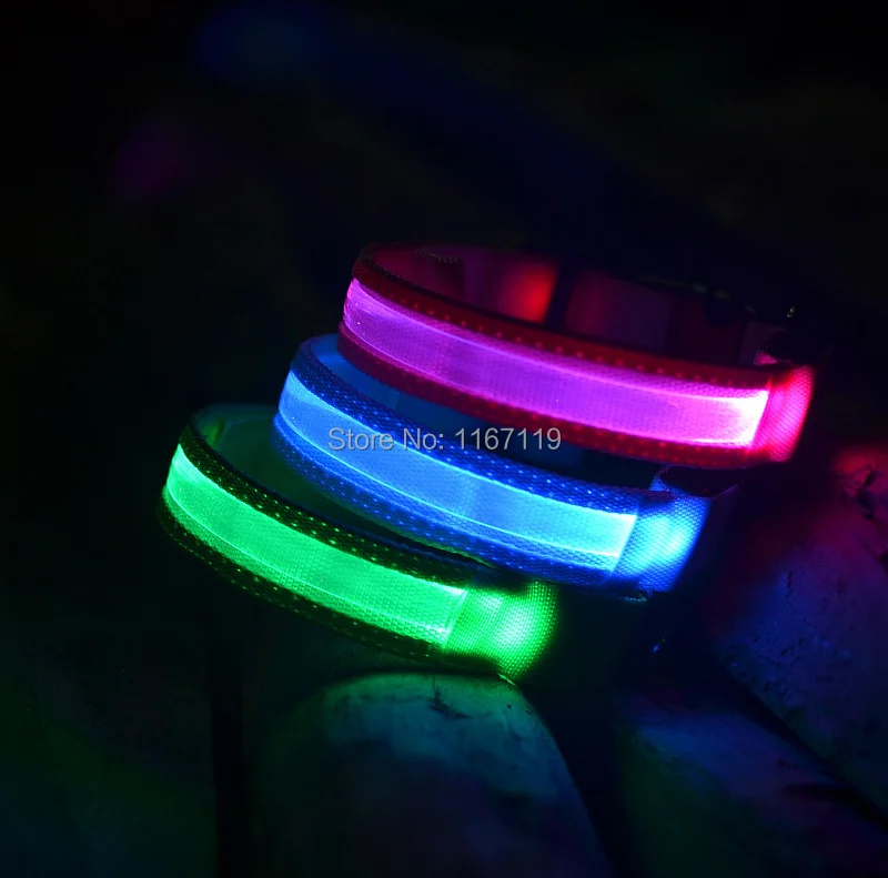 LED dog collar (15).jpg