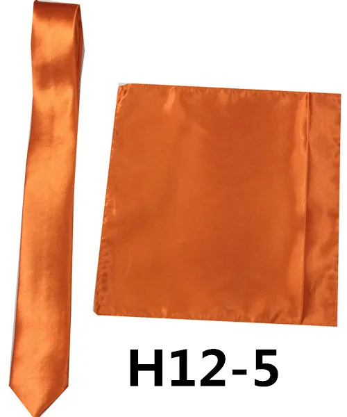 H12-5 Новинка, 24 цвета, мужской полиэстер, Шелковый карман, квадратный галстук, костюм, набор, Hanky жених, свадебные костюмы, деловой шейный платок FR186711 - Цвет: H12-5