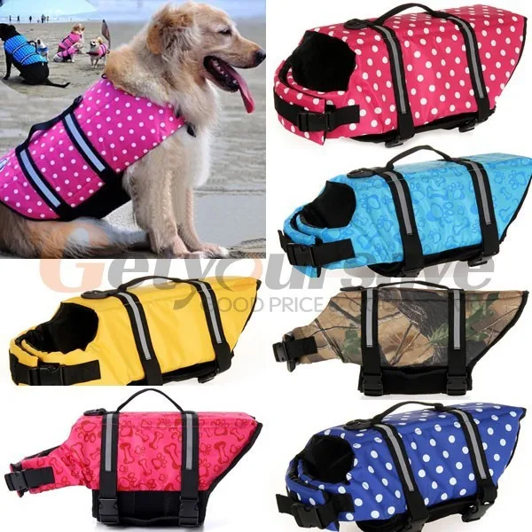 024000b1-283f-1269-c1c4-f5f23a0fae64