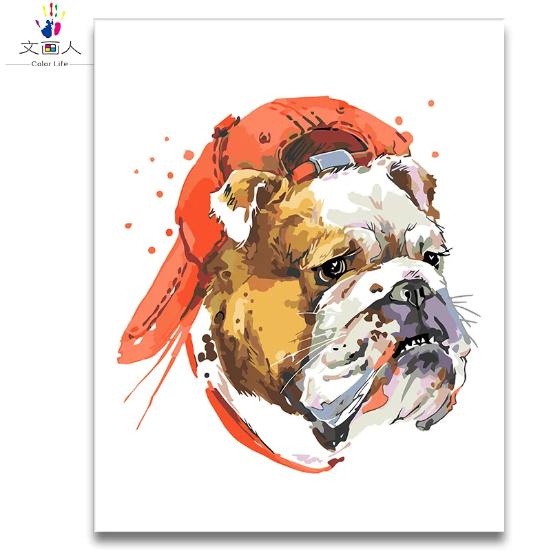 Бульдог met hoed foto DIY digitale olieverfschilderij nummers животных наборы op холст рисовать kleuren двери