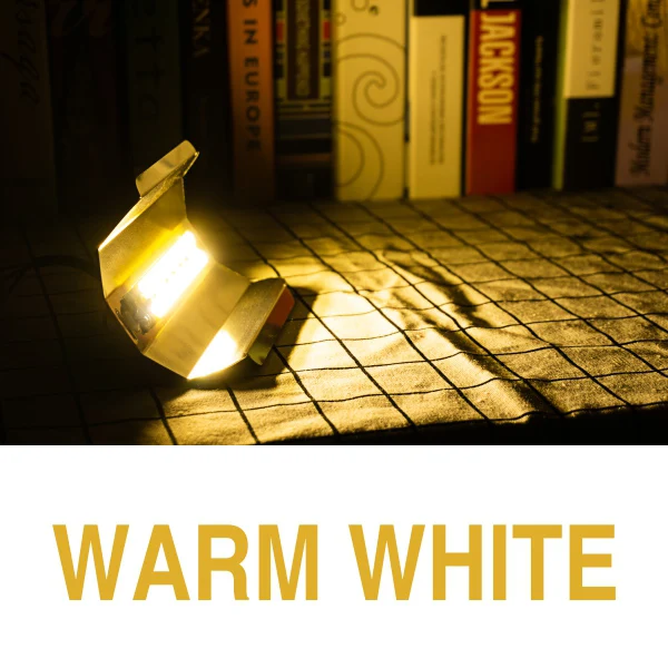 Warm White Полный спектр светодиодный рост потолочные светильник 30 Вт 50 Вт 80 Вт светодиодный Фито Лампа 220V 110V 380-780nm для выращивания цветов парника выращивания светильник - Испускаемый цвет: Warm White