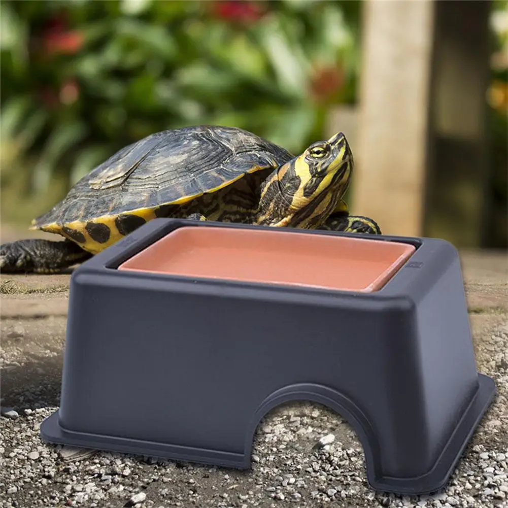 AsyPets Pets Reptiles Humidifier Snake Habitat Container Decor Natural Humidification Hiding Toy