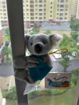

mini plush magnet koala toy high quality blue vest koala doll gift about 9cm