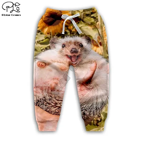 kids pants Одежда для семьи; Одежда для мальчиков и девочек; забавные детские толстовки с 3D-принтом «Ежик»; толстовка на молнии; штаны; Детский комплект - Цвет: kids pants