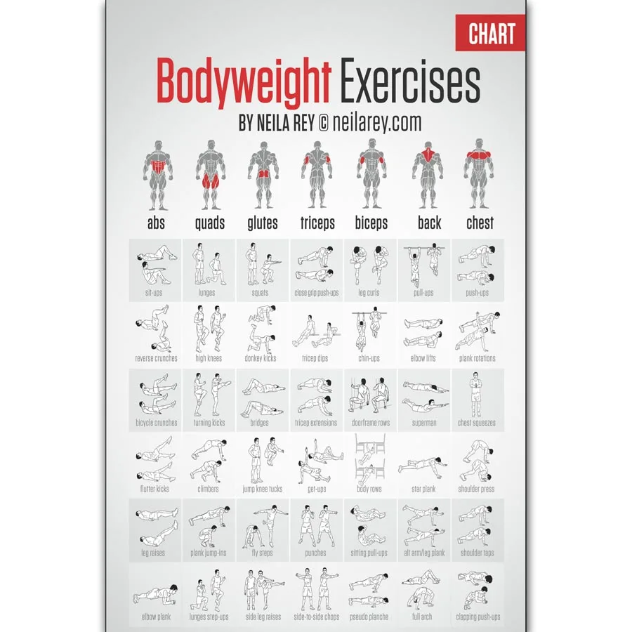 Back Muscle Exercise Chart 46 Printable Exercise Charts 100 Free á