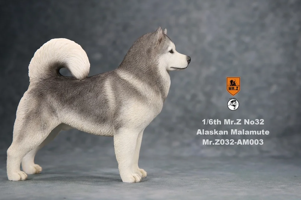 Estartek Mr. z 1/6 моделирование Alaskan Malamute собака коллекция статуя для фигурки Sence DIY