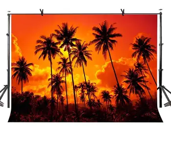 

150x210cm Sunset Backdrop Sunset Fire Burning Cloud Forest Photography Background for Camera Photo Props