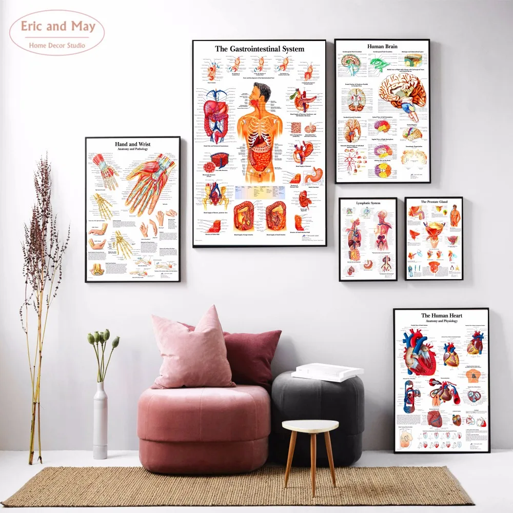 Human Body Anatomy Canvas Art Print Painting Poster Wall Pictures For Home Decorative Hospital
