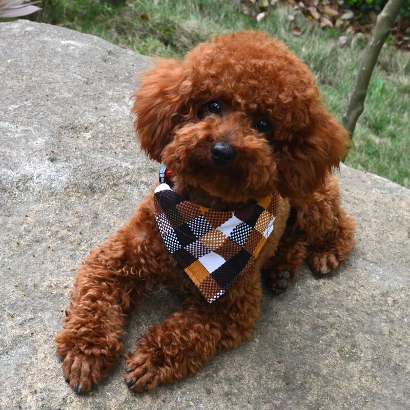 Шарф для питомцев кошек собак бандана щенка нагрудники регулируемый ошейник