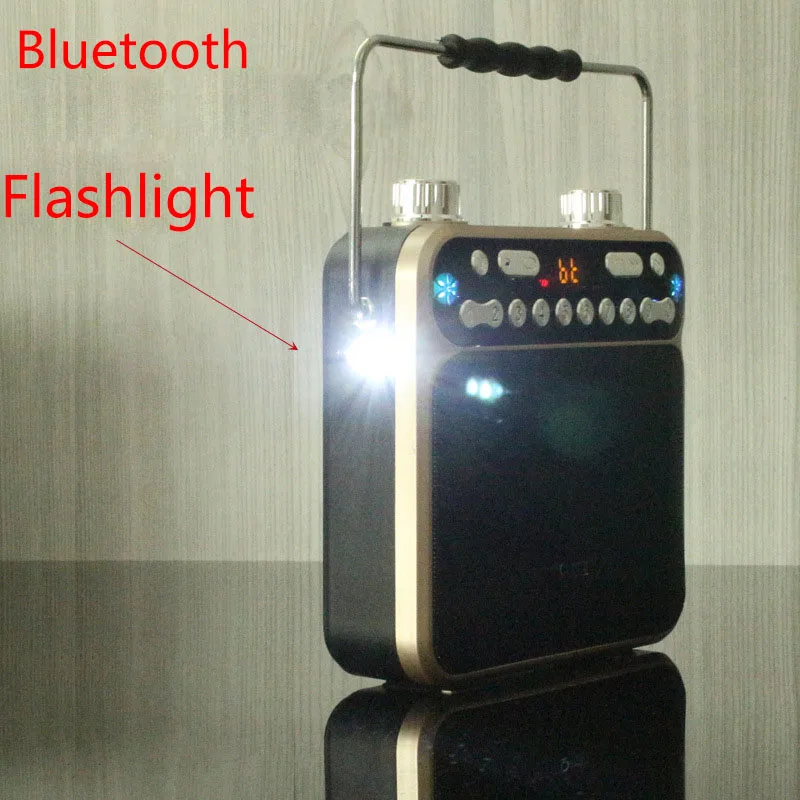Portable Rechargeable Voice Amplifier Megaphone Bluetooth Speaker FM TF