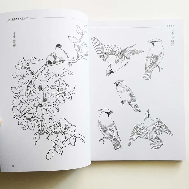 Традиционная китайская живопись цветы и птицы линия Рисование коллекция раскраска для взрослых Рисование демонстрационная художественная книга
