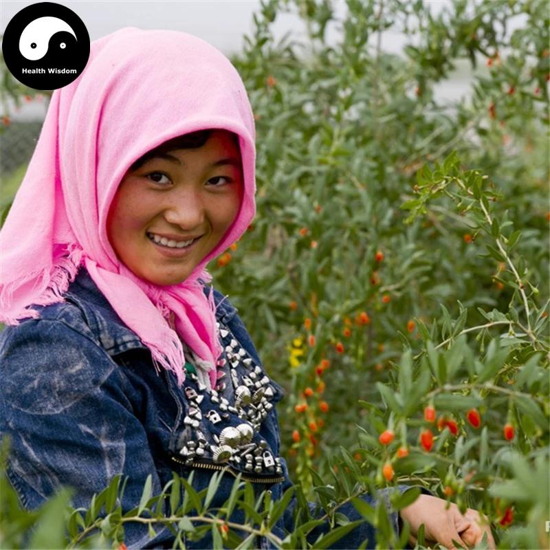 

Buy Real Goji Berries Tree Semente 100pcs Plant Red Wolfberry Tree For Goji Berries