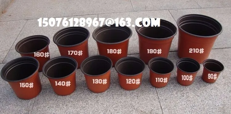 Seedlings Nursery Pots7