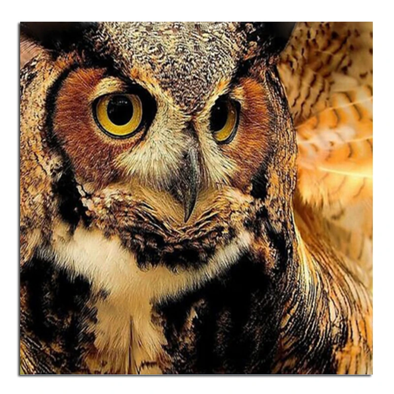 Набор для алмазной вышивки сделай сам 100% | Дом и сад