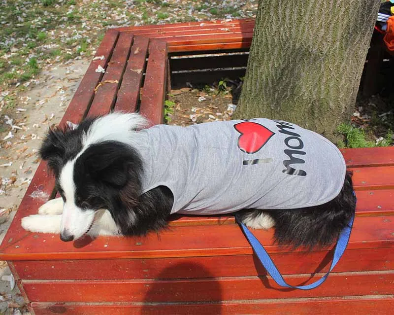 3XL 4XL 5XL 6XL 7XL 8XL 9XL Large Dog Clothing for Big Dogs Fashion Pet Dog Coat Vest Pets Apparel for Collie Husky Bulldog2