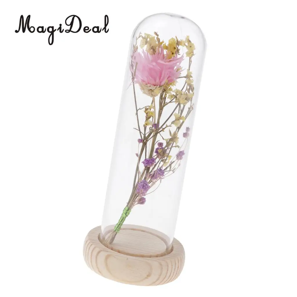 Clear Glass Display Cloche Bell Jar Dried Immortal Flower Preservation Vase Wooden Base Cafe Bar Countertop Decor Ornament
