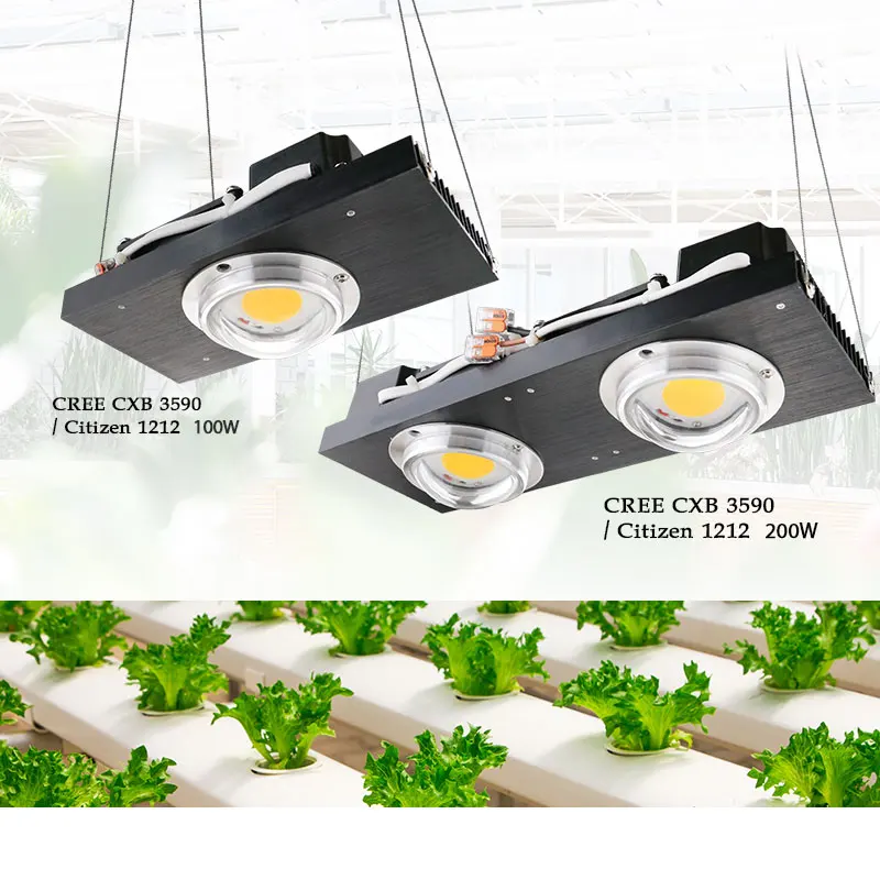 

CXB3590 COB LED Grow Light Full Spectrum 100W 200W Citizen 1212 LED Plant Grow Lamp for Indoor Tent Greenhouses Hydroponic Plant