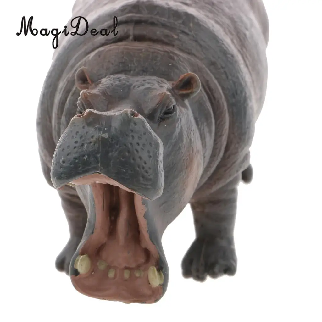 MagiDeal 1Pc Realistic Hippopotamus Wild Wildlife Zoo Animal Figurine Model Action Figure for Kids Story Telling Props Toy Gift
