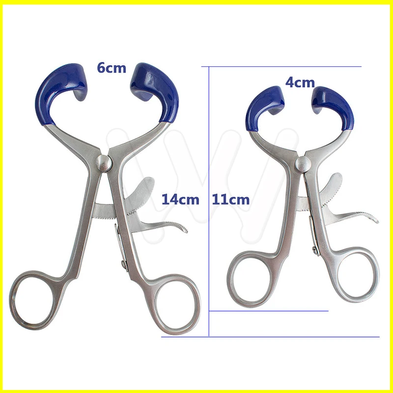

Molt Mouth Gag Blue Dental Surgical Instruments Dental Retractor