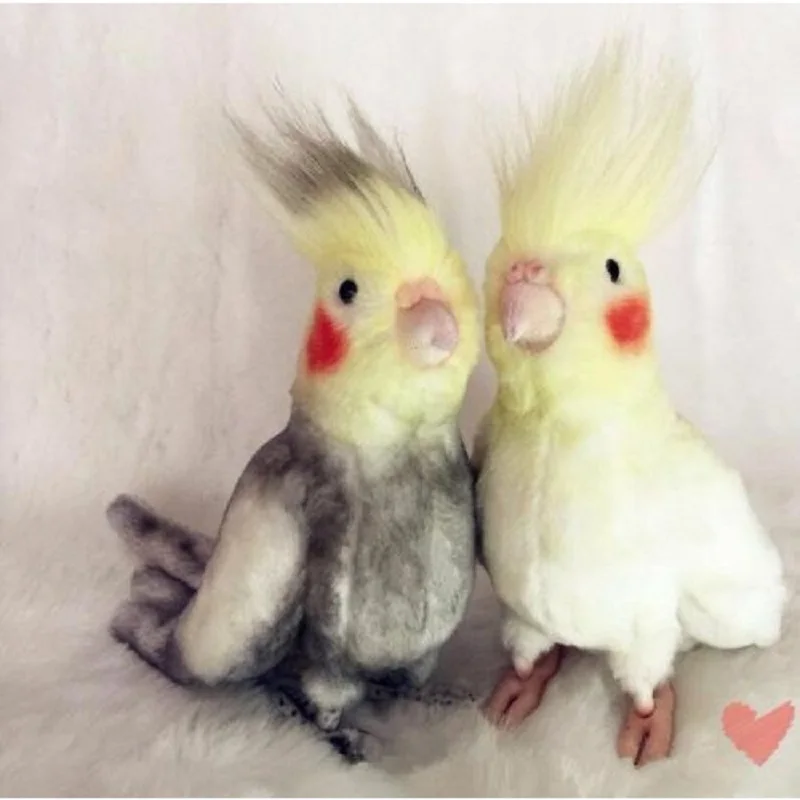 2 Цвета Моделирование Cockatiel кукла чучела птица плюшевая игрушка кукла животного детский подарок