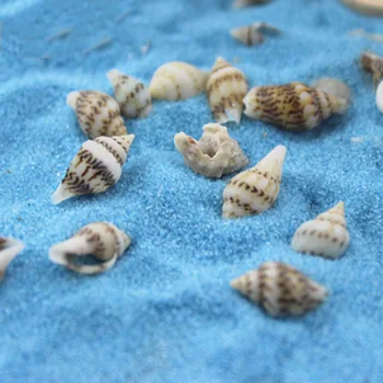 

1 Bag 1/12 Dollhouse Miniature Accessories Mini Conch Simulation Beach Shell Model Toys for Doll House Decoration