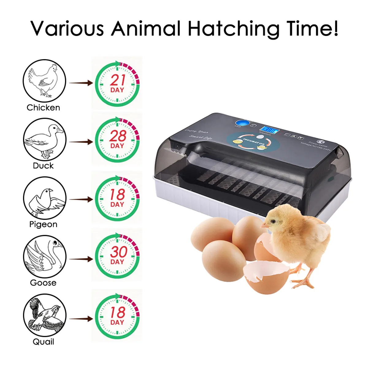 12 Eggs Hatchery Eggs Incubator Hatcher Digital Temperature Control Brooder for Chicken Duck Bird Pigeons Quail 2019 New 12 Eggs Hatchery Eggs Incubator Hatcher Digital Temperature Control Brooder for Chicken Duck Bird Pigeons Quail 2019 New