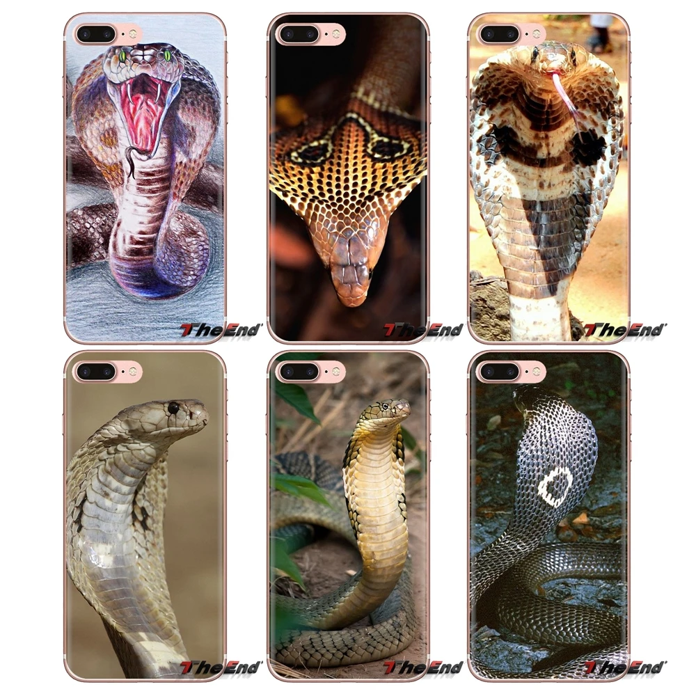 KING COBRA художественный постер со змеиным рисунком для iPod Touch Apple iPhone 4 4S 5 5S SE 5C 6 6S 7 8 X
