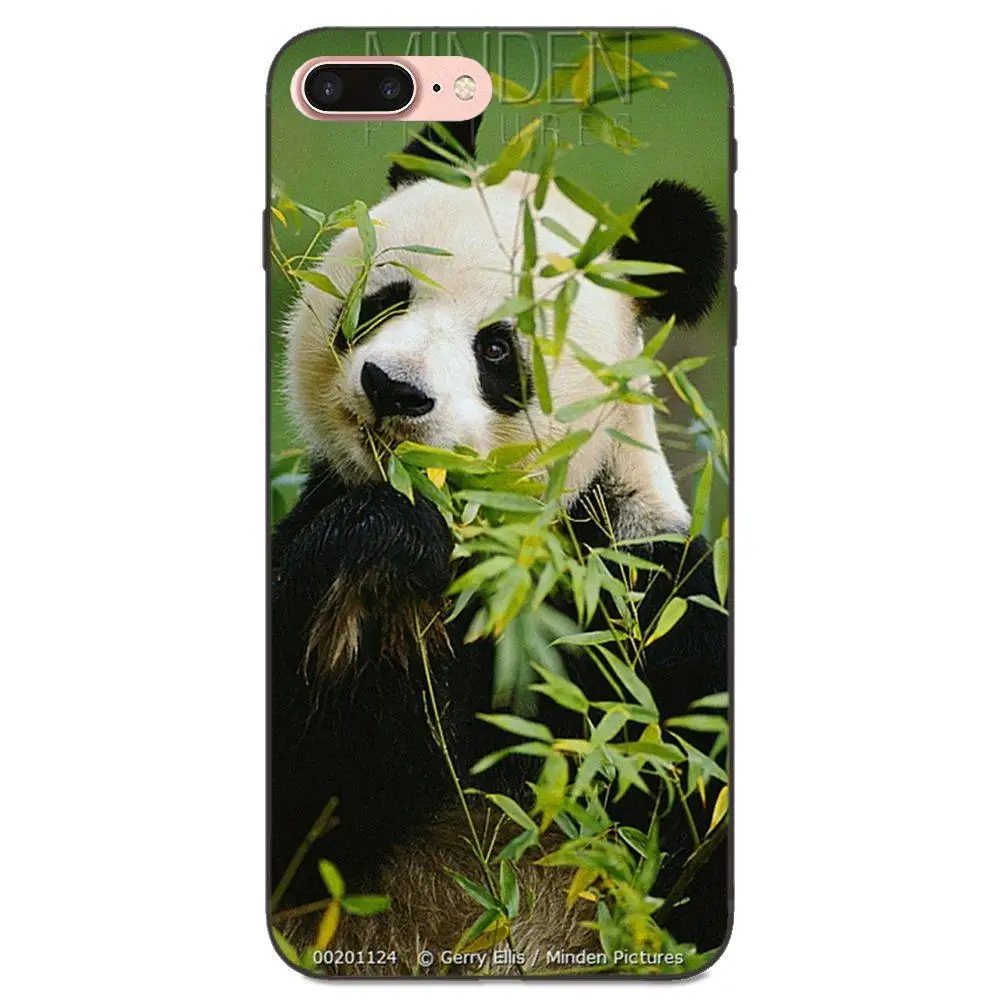 Милая китайская панда для Huawei Honor 5A 6A 6C 7A 7C 7X 8A 8C 8x 9 10 P8 P9 P10 P20 P30 Mini Lite