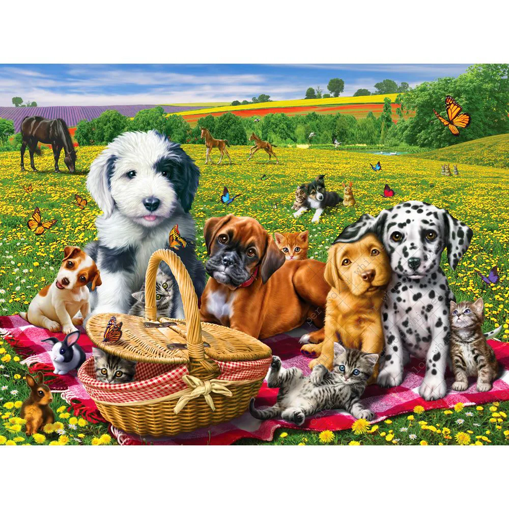 Buy Diamond Painting Diy Full Square/Round Daimond