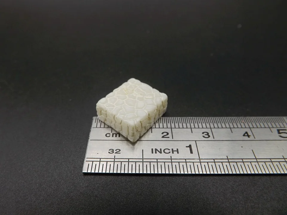 Tiny-B155-Step Stone (7)