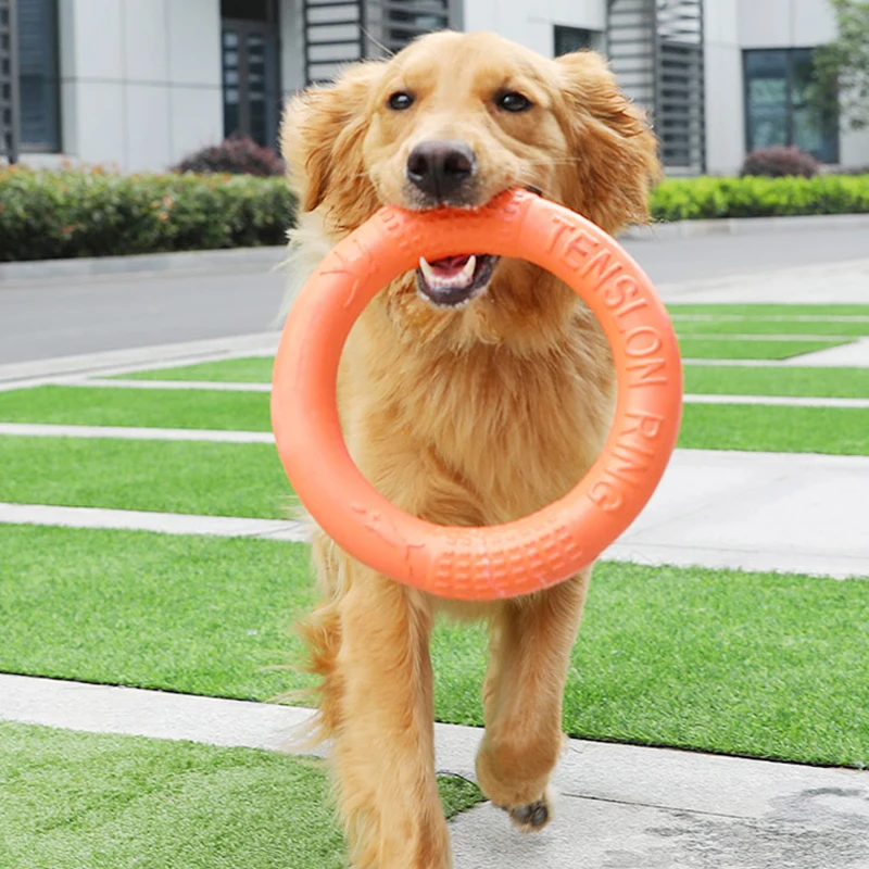 

Pet Flying Discs EVA Training Ring Floating Motion Tools Dog Chew Toy Pitbull French Bulldog Dog Interactive Outdoors Toys