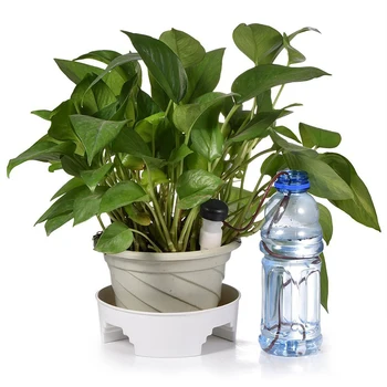 

8pcs/Lot Self-Watering Probes Indoor Automatic Watering System Houseplant Plant Spikes