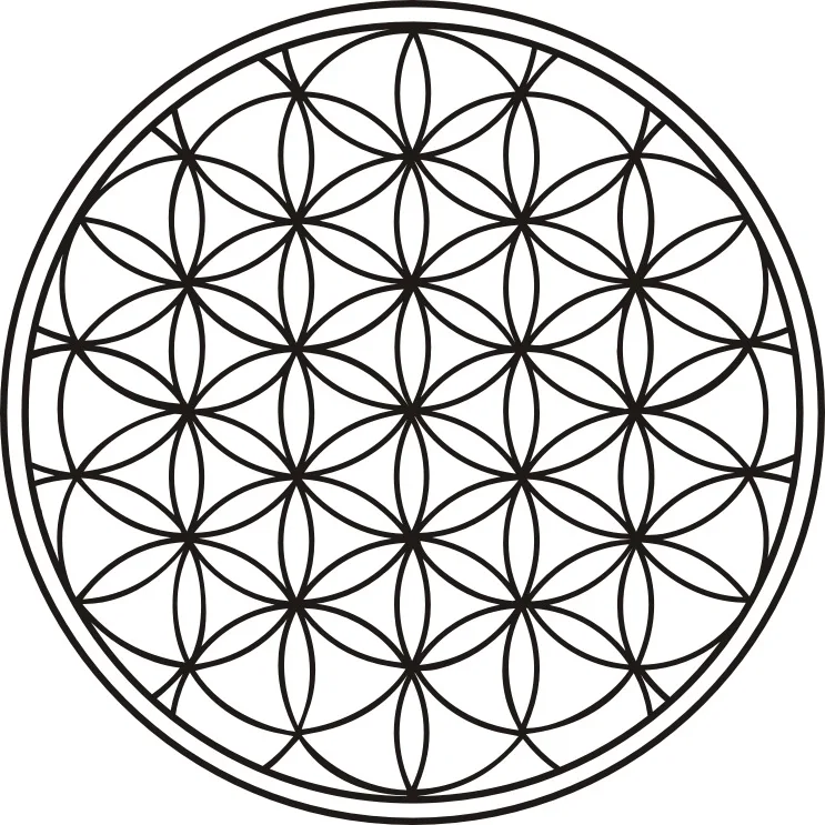 9244899050_1172356561
