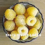 Free Shipping 4000 Pcs Raspberry Bonsai Mixed Colors Super Big Raspberry Fruit For Flower Pots Planter Home Garden Bonsai Plants Free Shipping 4000 Pcs Raspberry Bonsai Mixed Colors Super Big Raspberry Fruit For Flower Pots Planter Home Garden Bonsai Plants