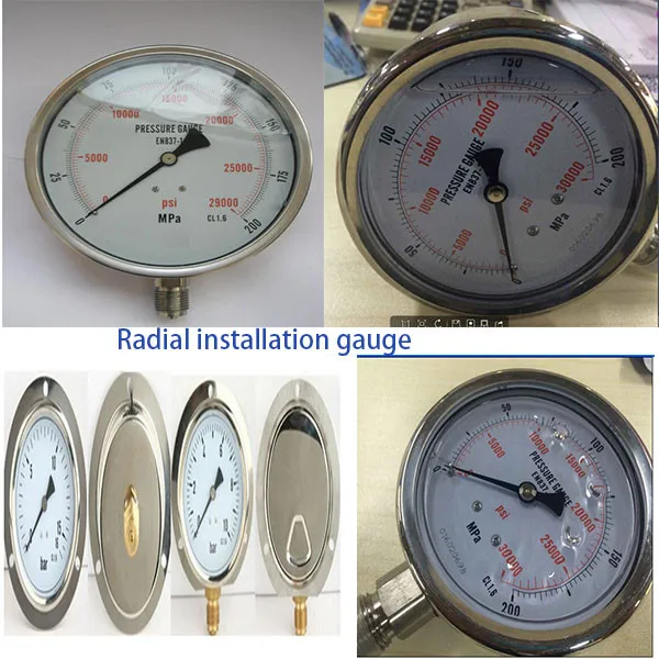 Модель: WS-EN250 4 дюйма Диаметр 0-2500 бар радиальная сборка жидконаполненный гидравлический Манометр высокого давления