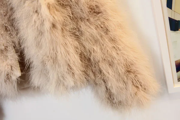 T2o_qNXalXXXXXXXXX_!!64539598