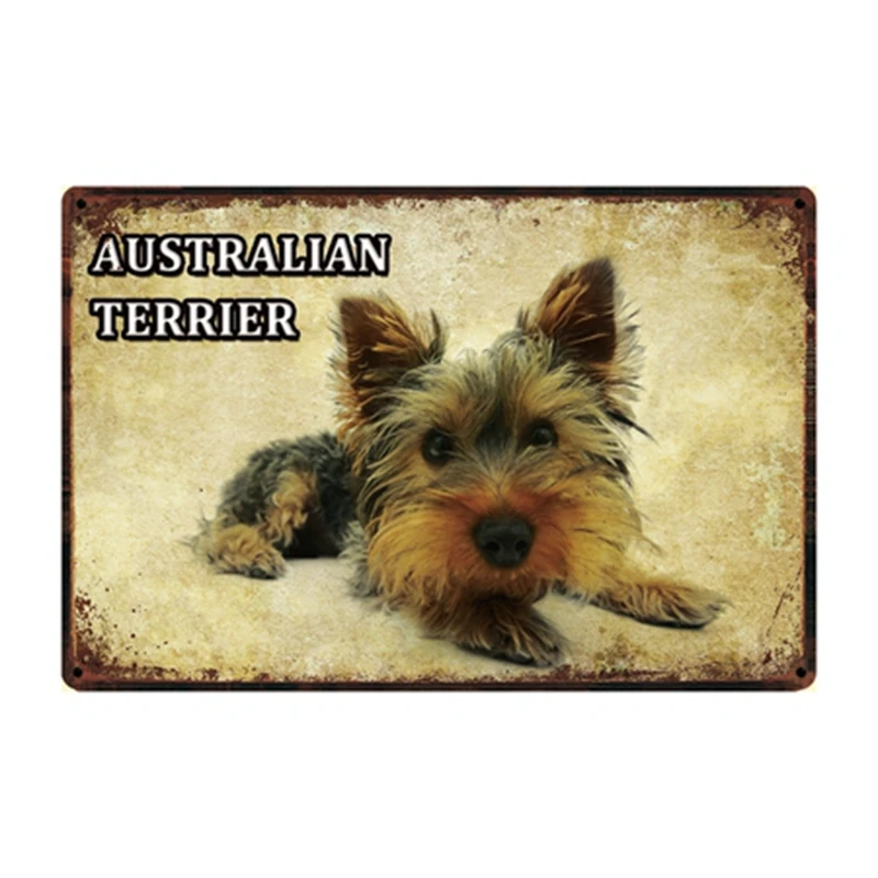 [Kelly66] собака Акита терьер Афган гончая Басенджи металлический знак оловянный плакат домашний Декор Бар настенная живопись 20*30 см размер Dy81 - Цвет: y-2849