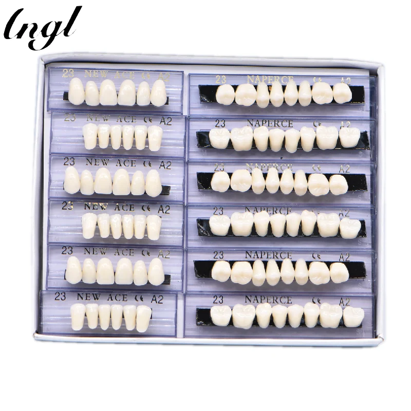 

168pcs/box Size 23 24 Acrylic Resin Denture Dental Teeth include Upper Lower A2/A3 Teeth Whitening Tooth Model Dental Materials