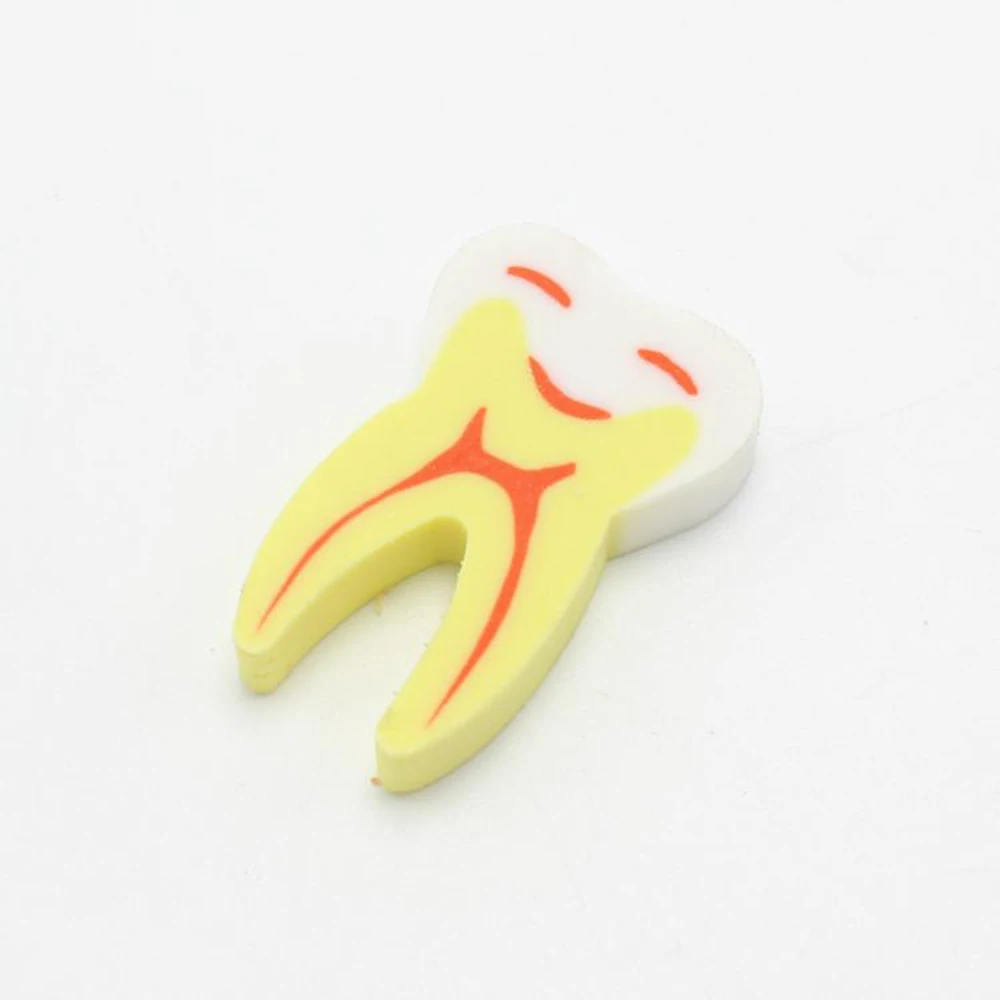 50pcs/bag Molar Shaped Tooth Rubber Erasers Dentist Dental Clinic